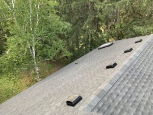 Grey asphalt shingle roof with roof vents next to a wooded backyard