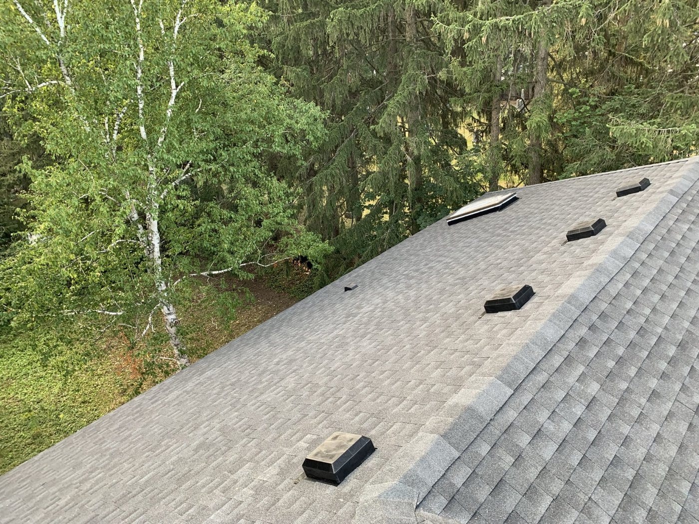 Grey asphalt shingle roof with roof vents next to a wooded backyard